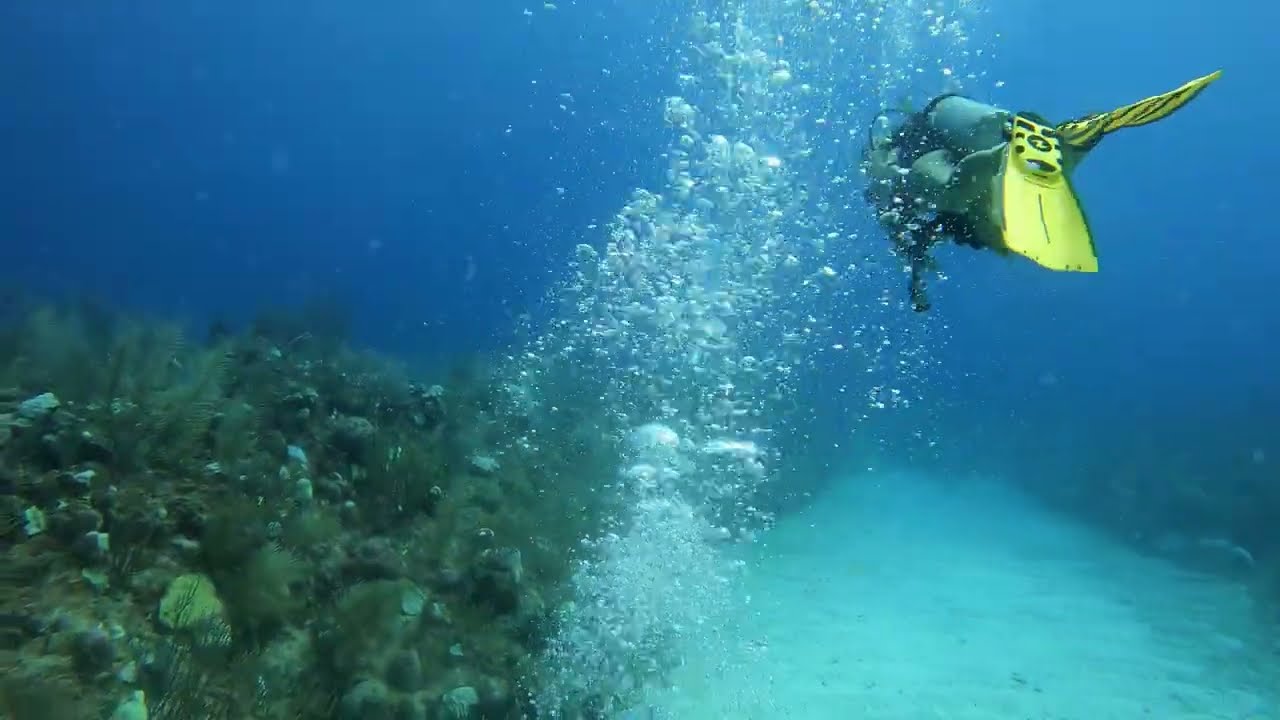 San Pedro Belize Scuba Diving