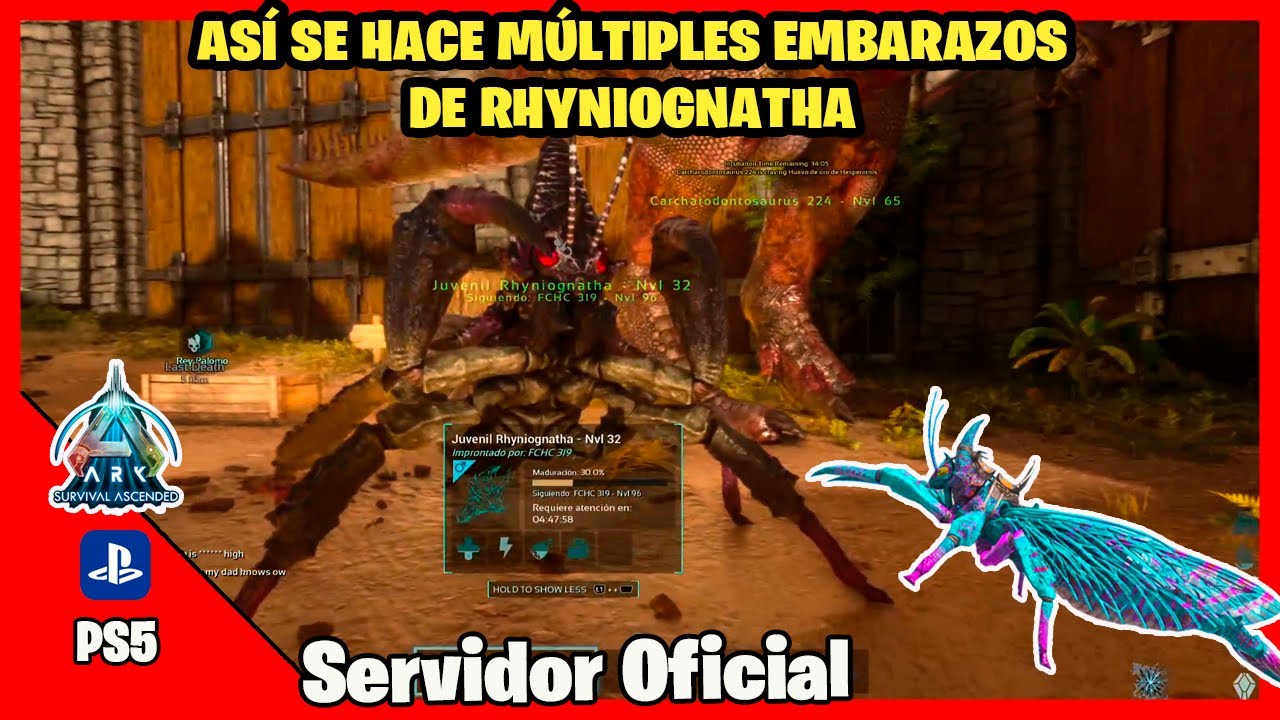 Así realiza EMBARAZOS de RHYNIOGNATHA correctamente | ARK Ascended Servidor Oficial