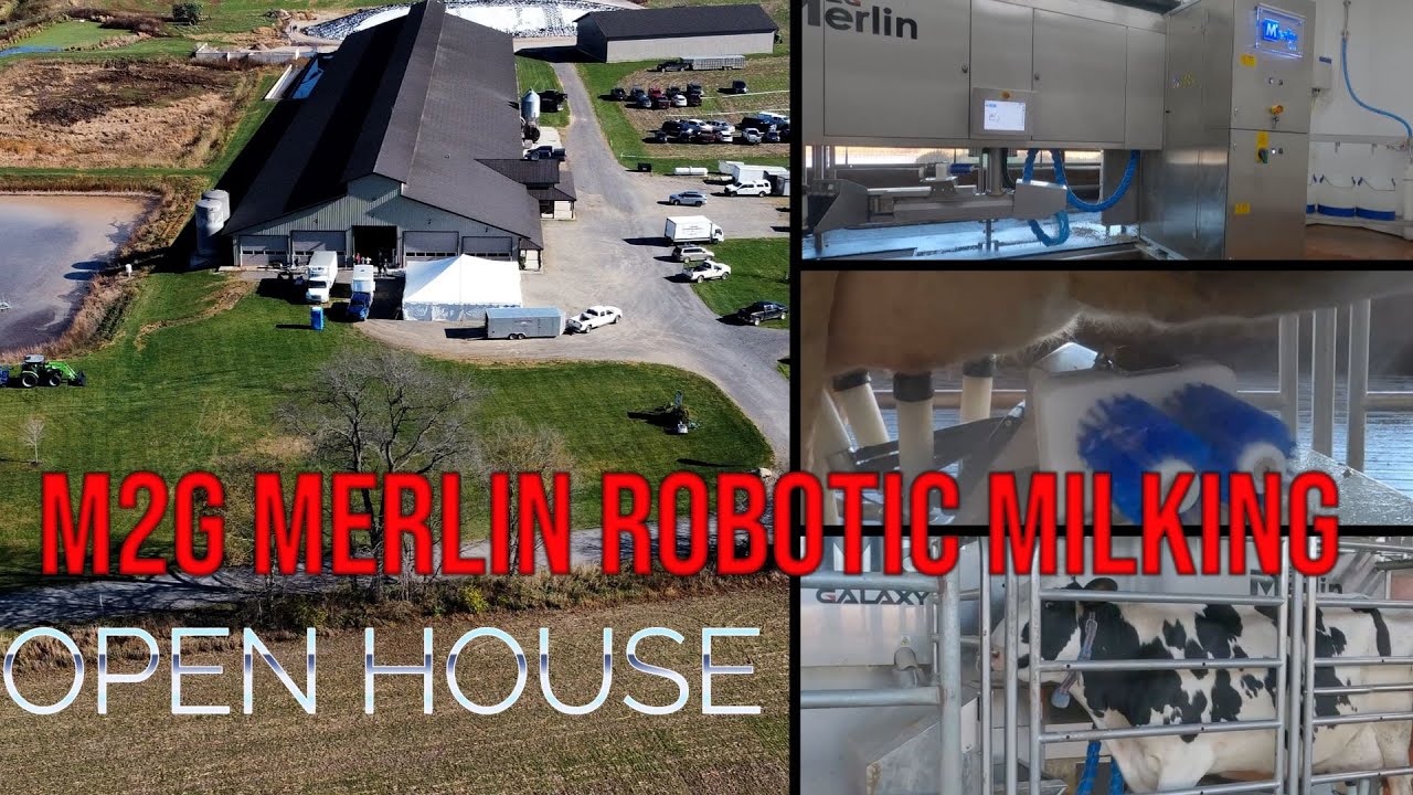 Milky way dairy open house.[See the new M2G merlin milking robot!]
