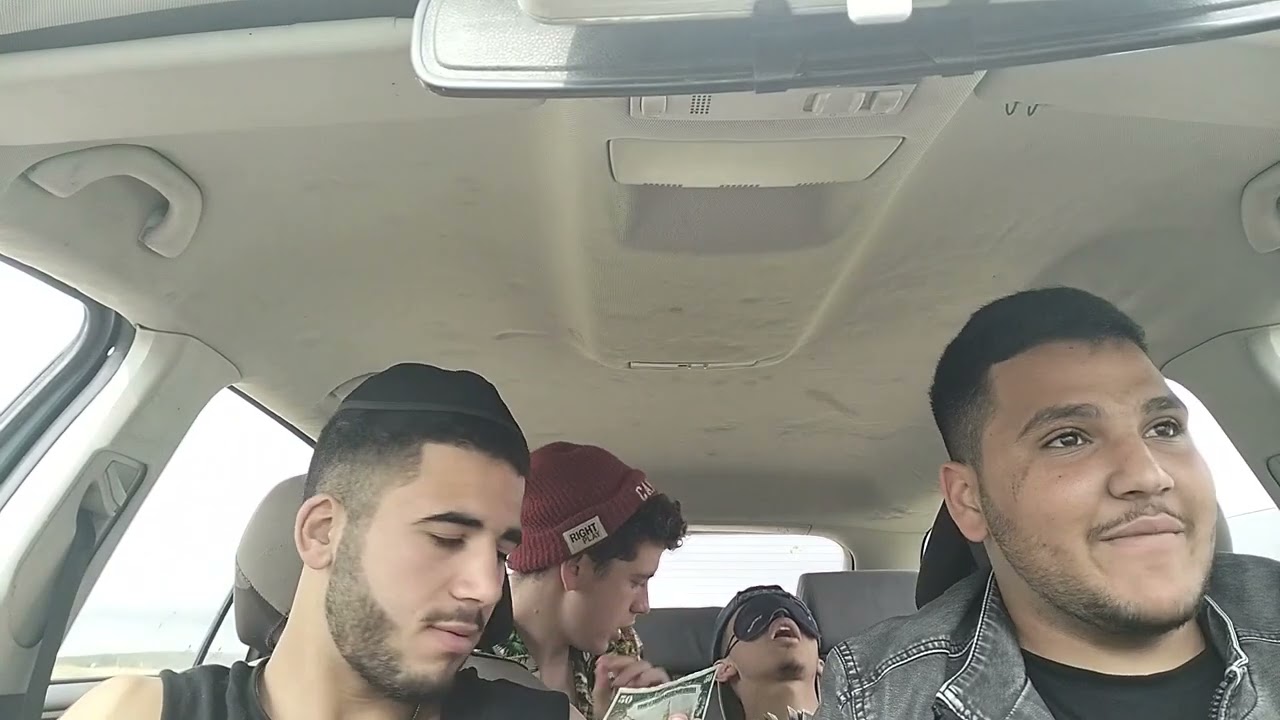 משימה יער הכתרה שמיניתשפ