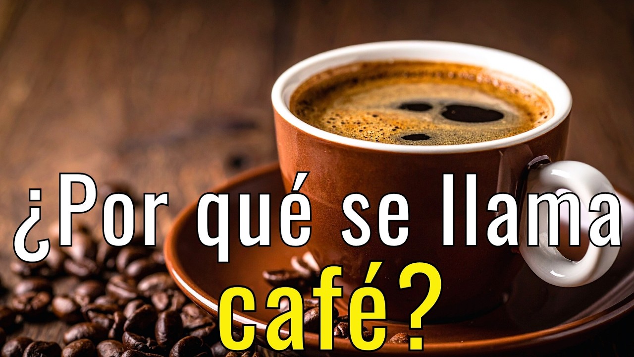 ¿Qué es exactamente el café y por qué se llama café?