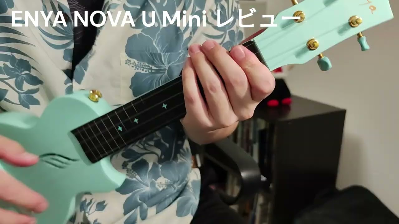 Nova U Mini ソプラノ ウクレレレビュー 