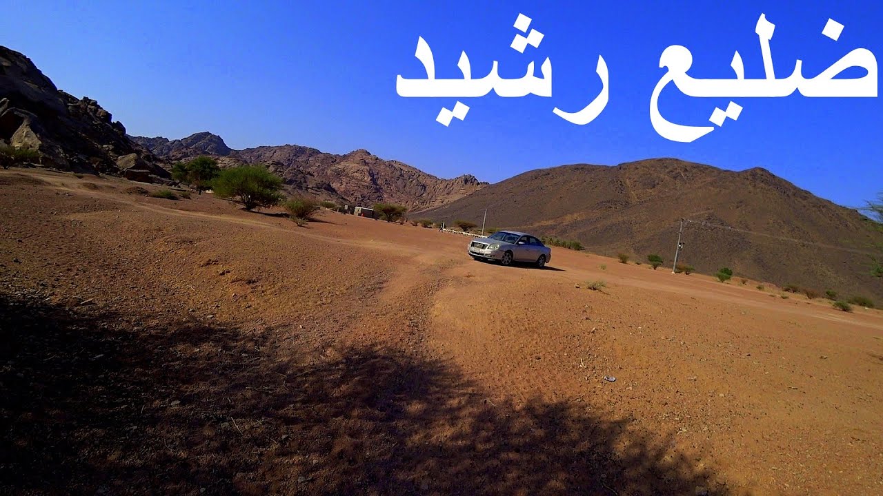 ضليع رشيد  |  أبانات