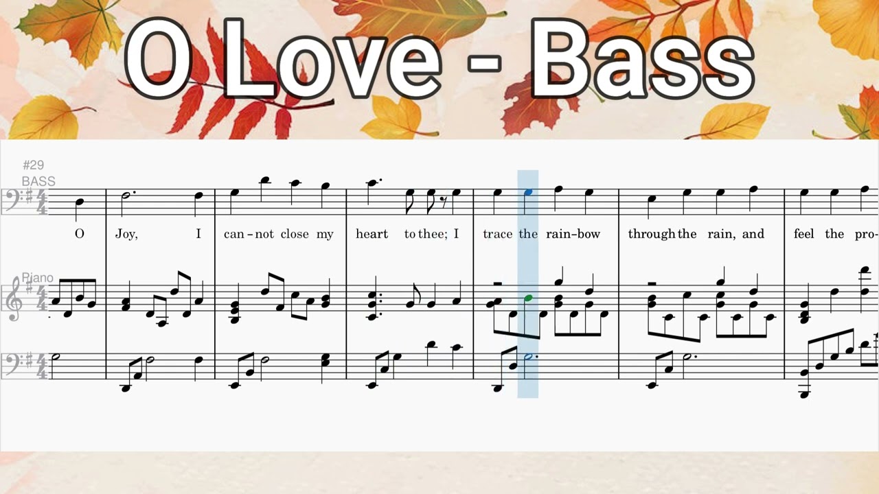 O Love - Bass