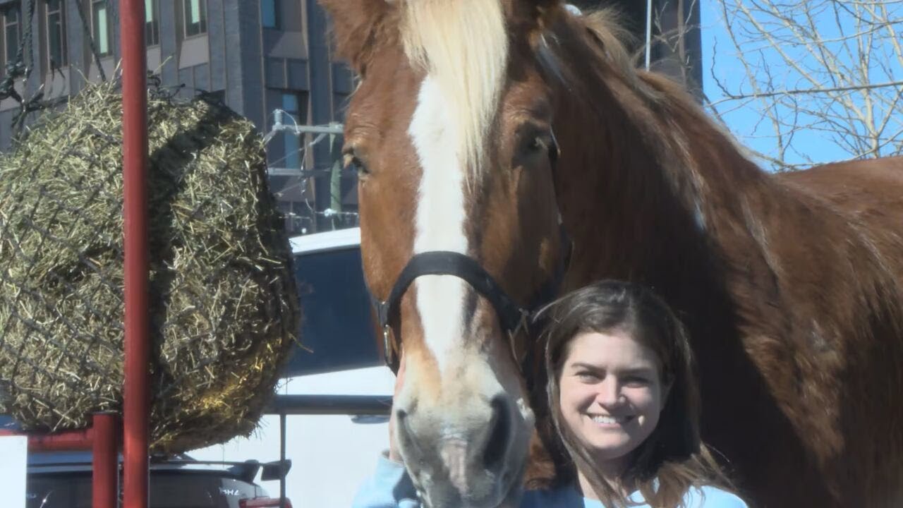 Beer-loving rescue horse inspires &ldquo;20 Hands Lager&rdquo;
