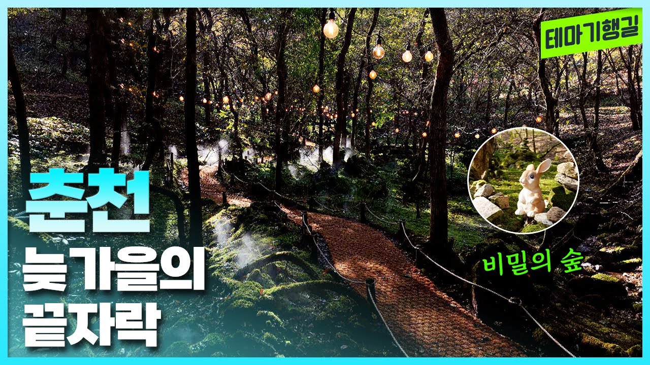 늦가을의 끝자락,춘천  | 테마기행길 251205 방송