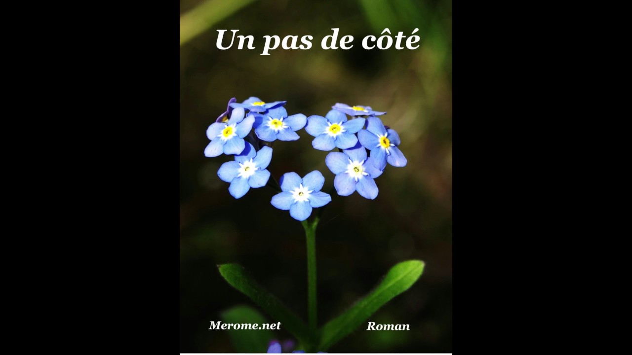Un pas de côté : roman audio de Jérôme Vuittenez