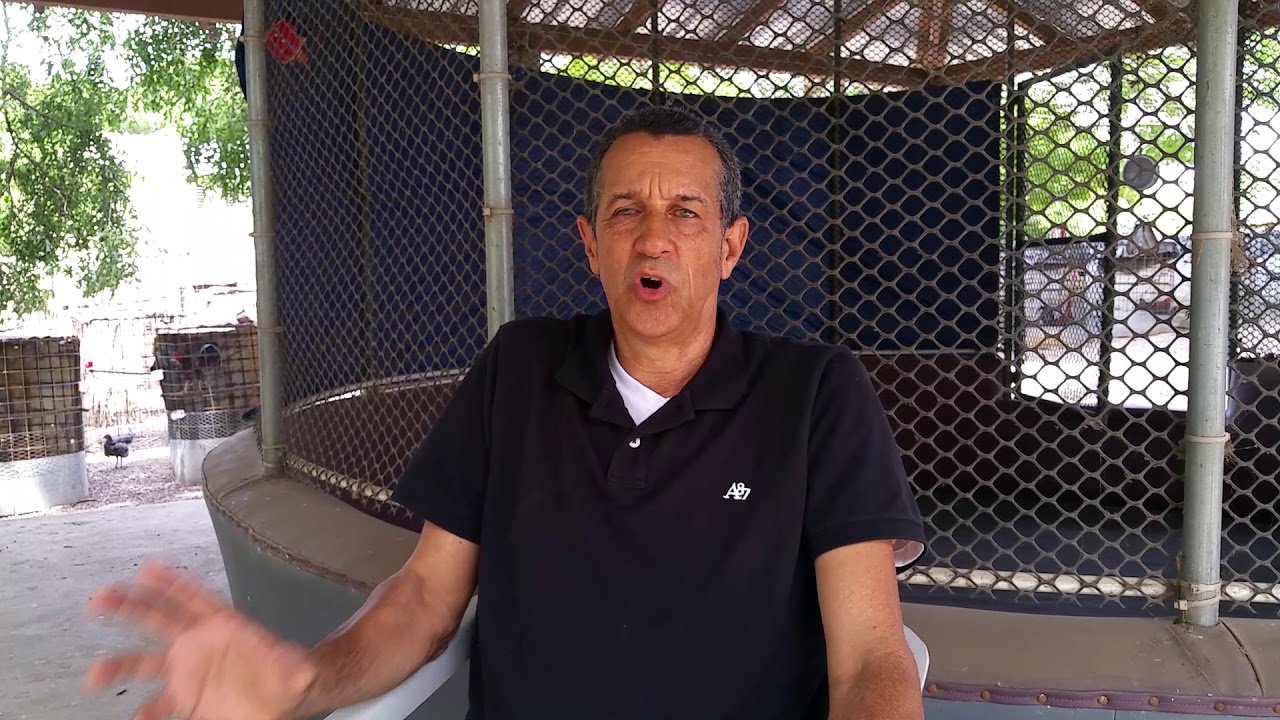CHELO ESTEVEZ HISTORIA MUY INTERESANTE.