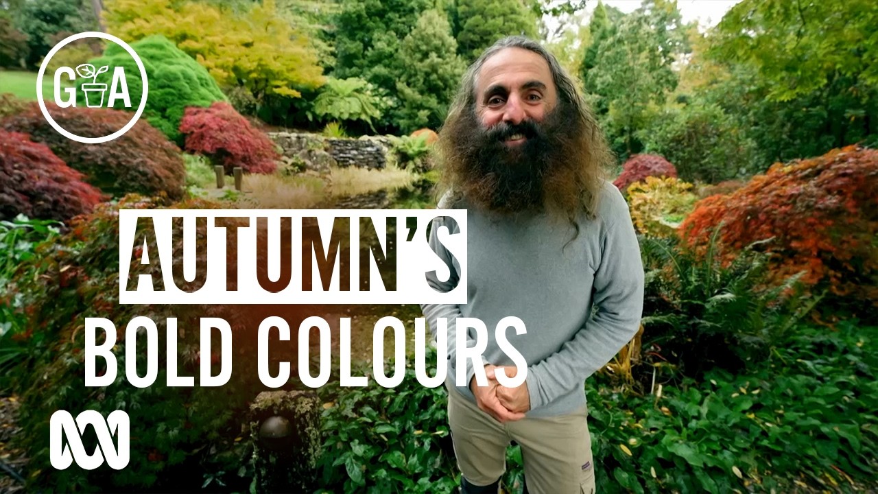 How To Get Autumn Colours In Your Garden | Gardening 101 | Gardening Australia