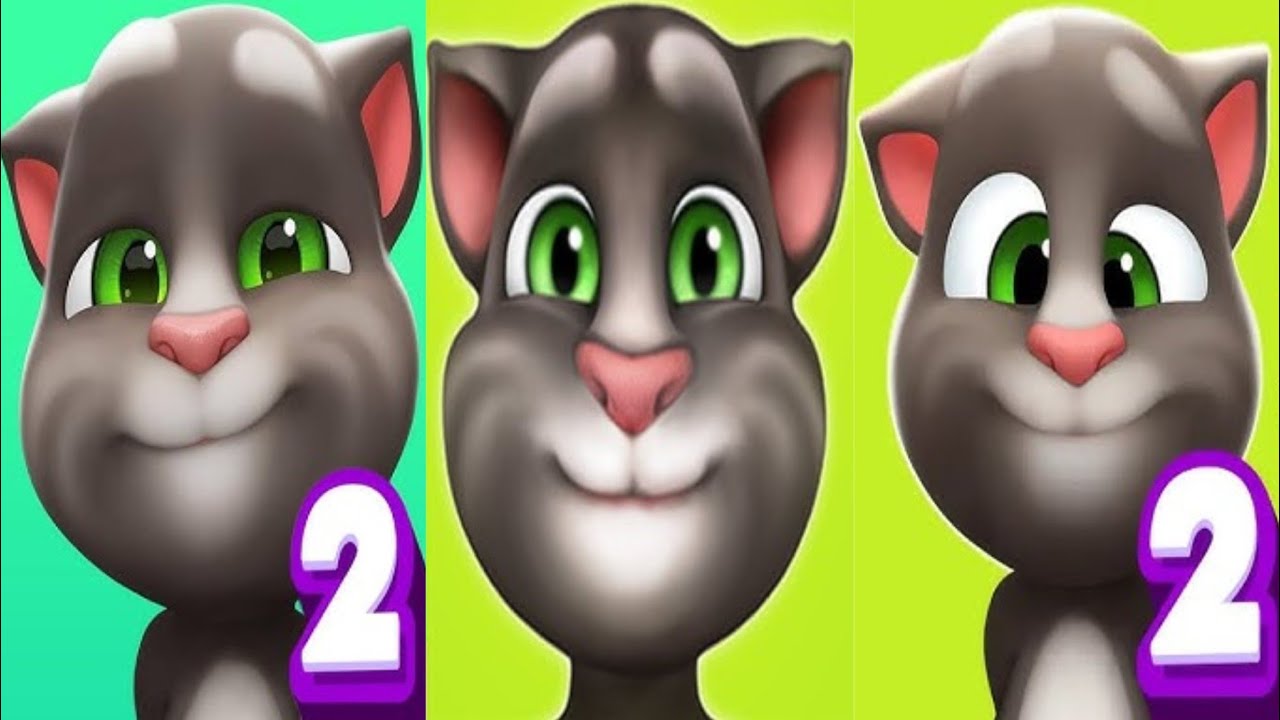 Tom 2 vs tom cat 🥰🥰🤩vs tom 2 lite 