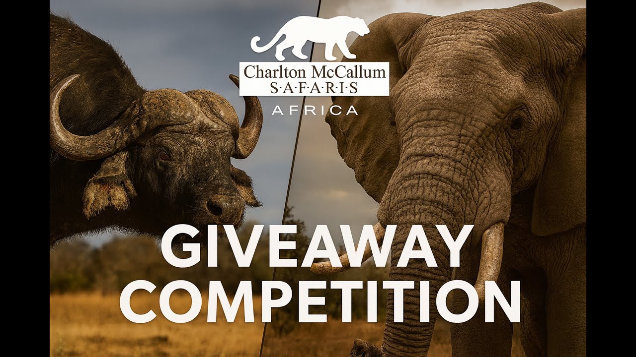 CM Giveaway - You Won't Believe What We're Giving Away