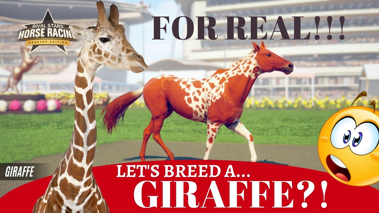 Breeding Giraffe's for REAL! Rival Stars Horse Racing!