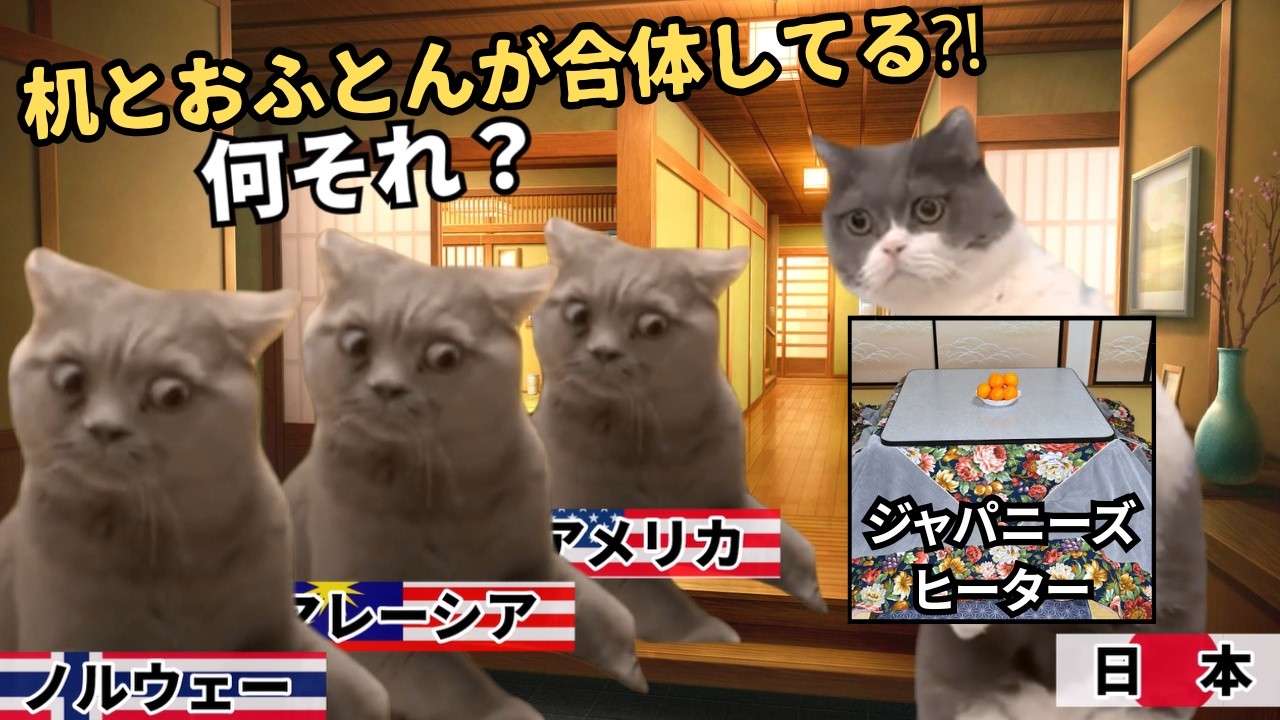 【脱出不能】世界がハマったこたつの魔力#猫マニ #猫ミーム