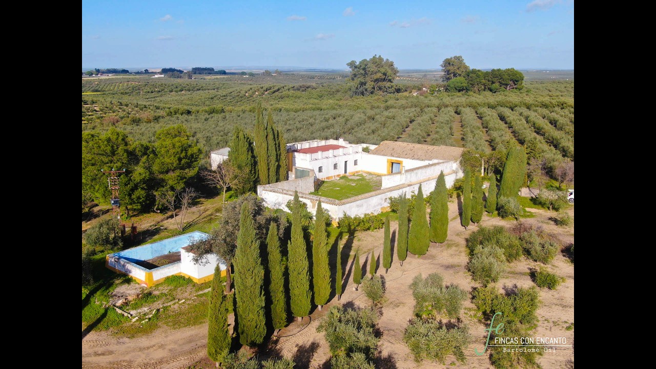 Preciosa finca con cortijo y olivar