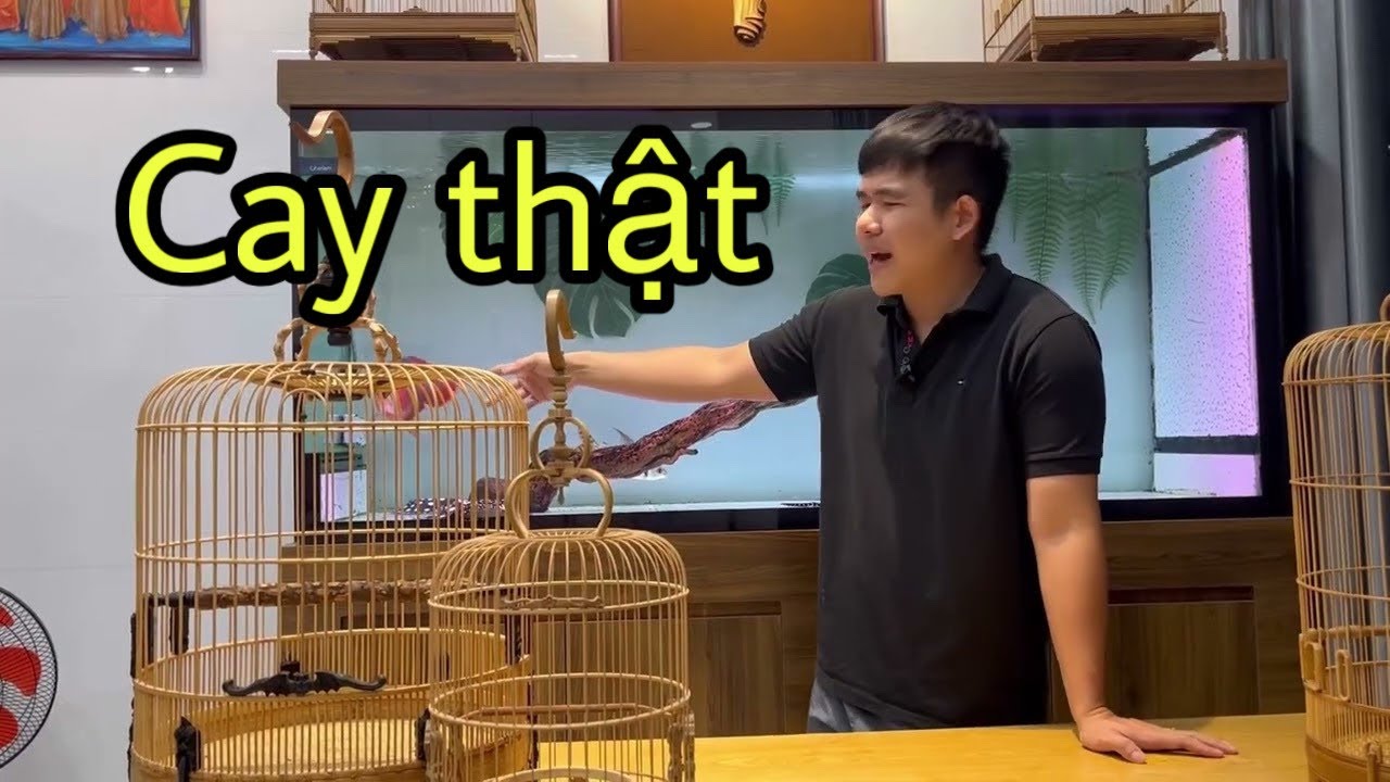 Giao lưu nâng cấp lồng lỗ bao nhiêu % - Giải đáp tất tần tật vụ lùm xùm Vũ Minh thu cũ đổi mới