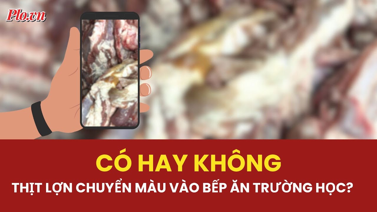 TP.HCM: Làm rõ thông tin thịt lợn chuyển màu vào bếp ăn trường tiểu học | PLO