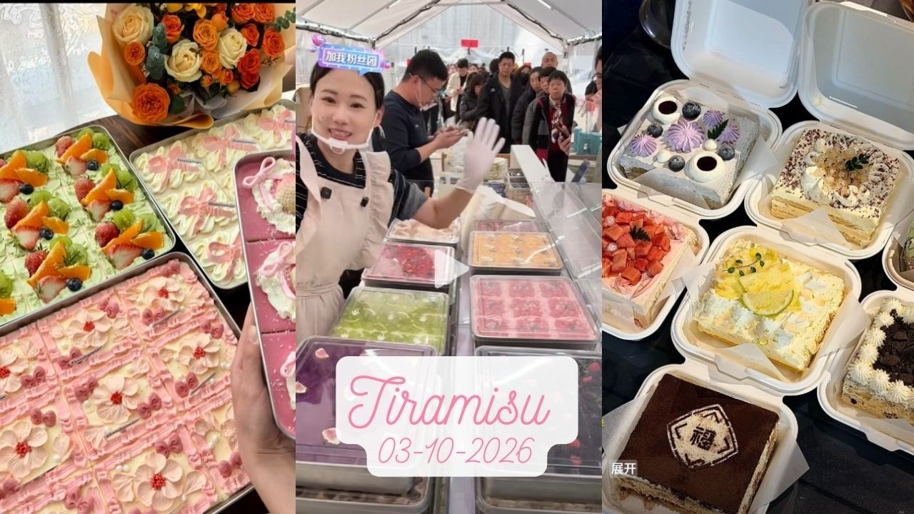Tiramisu Cake Livestream Sale (81 trays)|Zhao Zhao #03102026 #tiramisu #cake #dessert