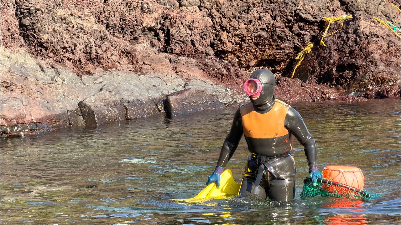 Watching Jeju’s Legendary Haenyeo Divers 🤿🌊 Korea’s Real-Life Mermaids!🇰🇷