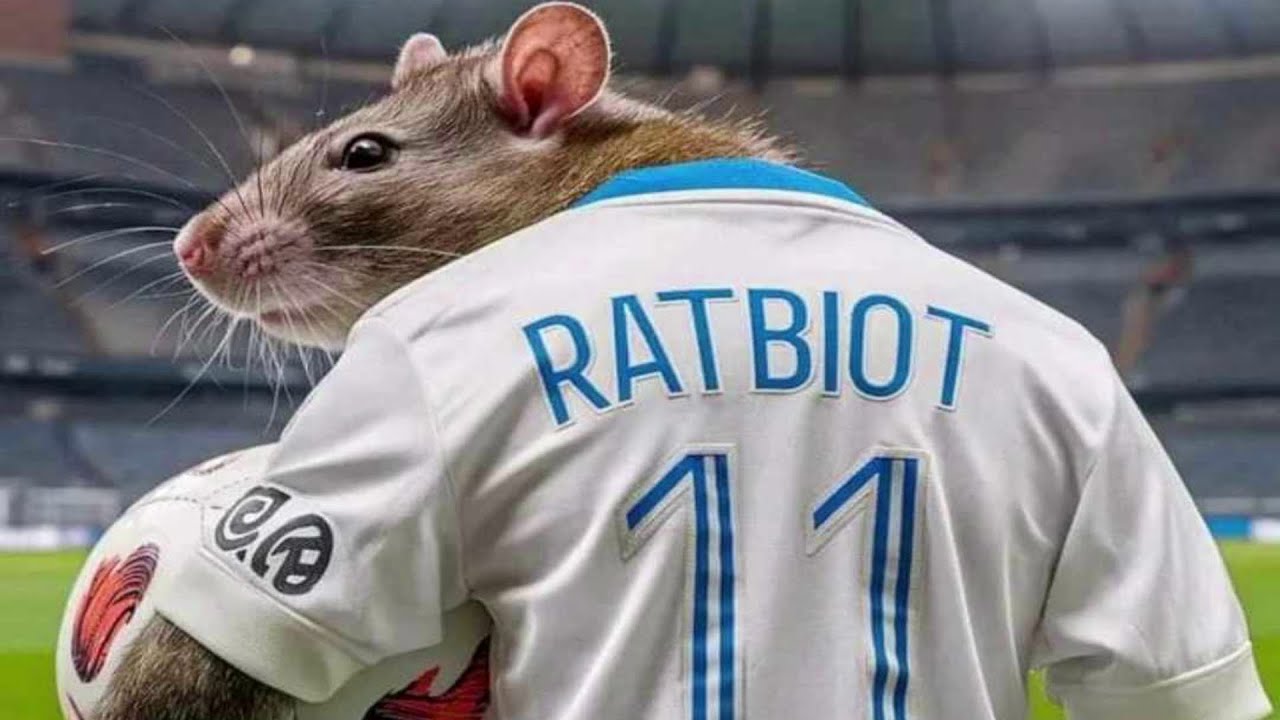 RATBIOT - Azéd Stories