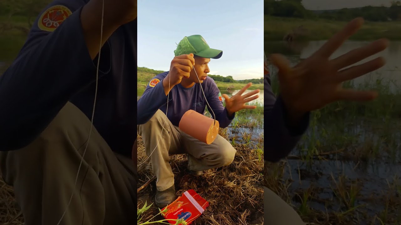 Ceva para tra&iacute;ra 🌵  #pescaria #pesca #tra&iacute;ra #caatinga