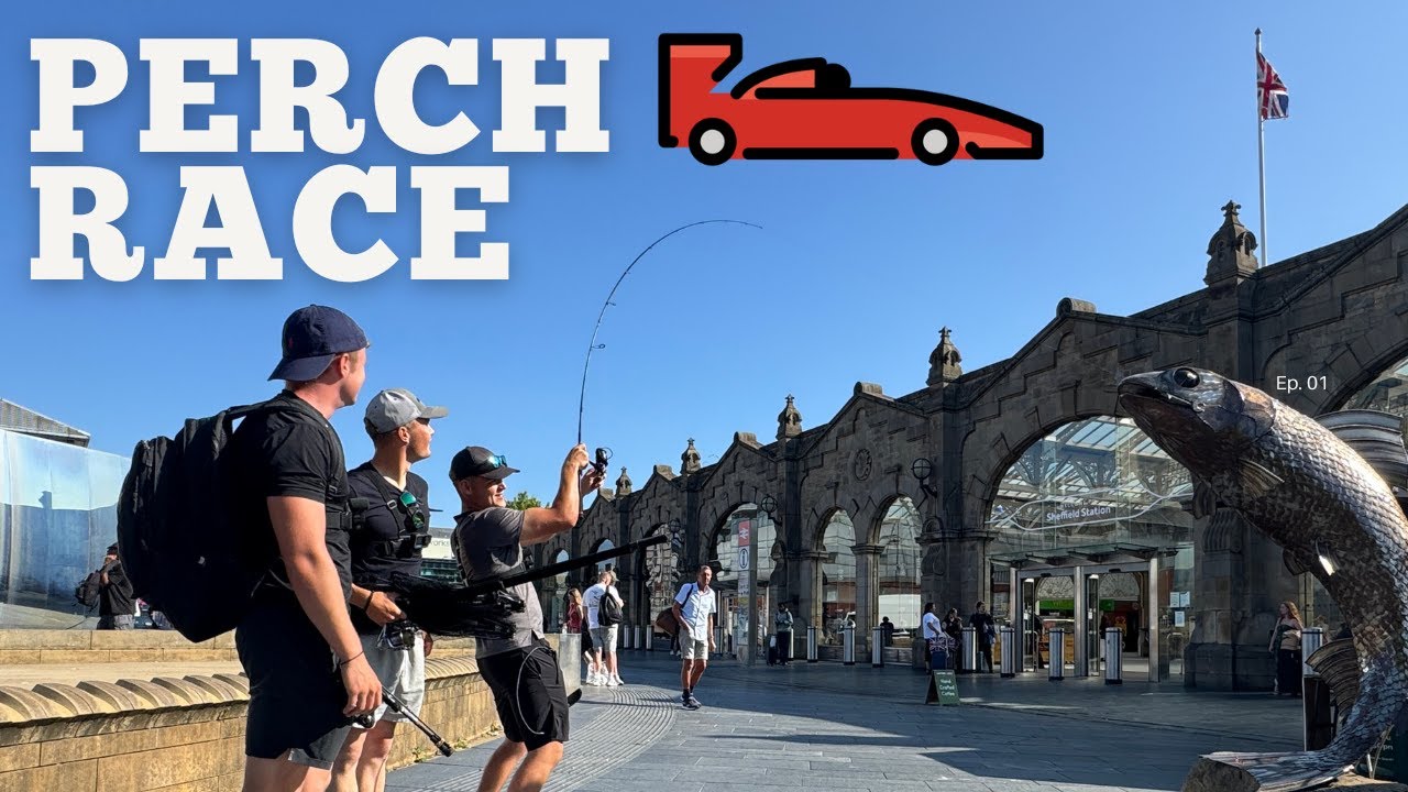 Perch Race