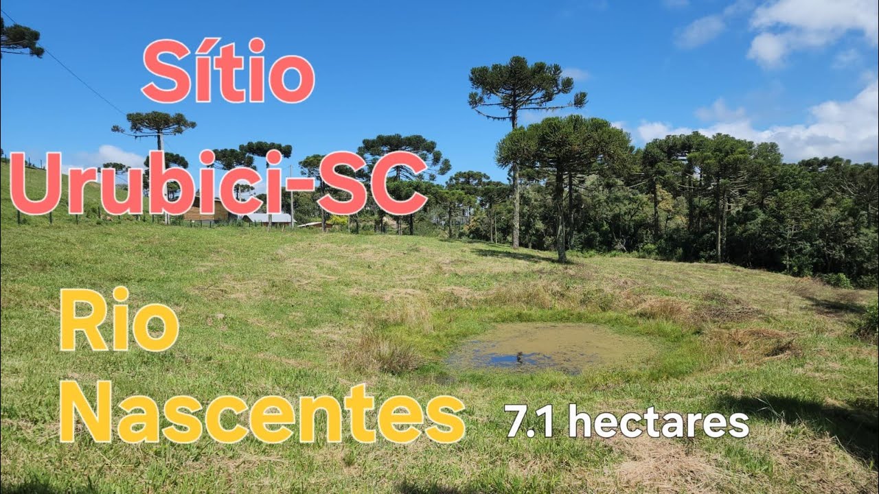 Sítio,Terreno das Araucárias, Rio, Nascentes em Urubici- SC, 7.1 hectares, oportunidade R$800.000,00