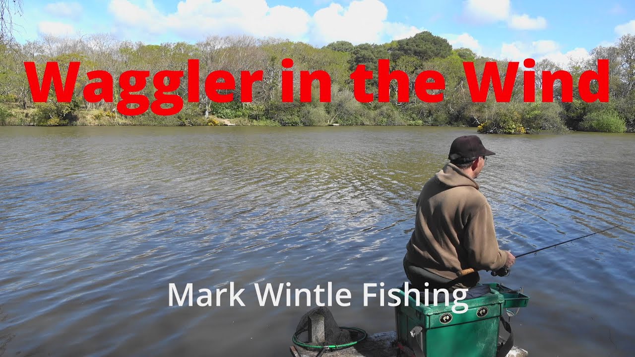 Waggler in the Wind
