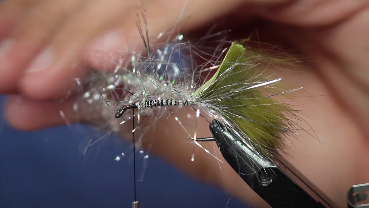 Fly Tying Tutorial Jan's Tui Chub