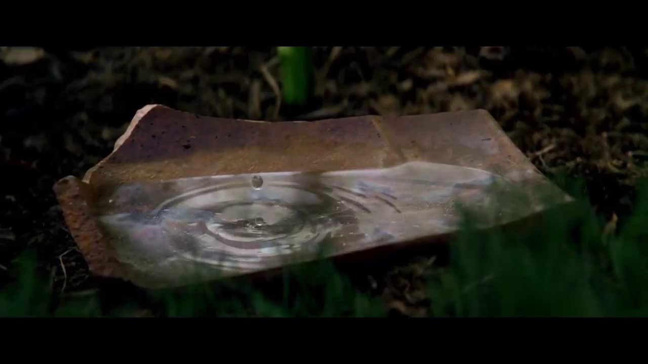 Transcendence Extended Ending
