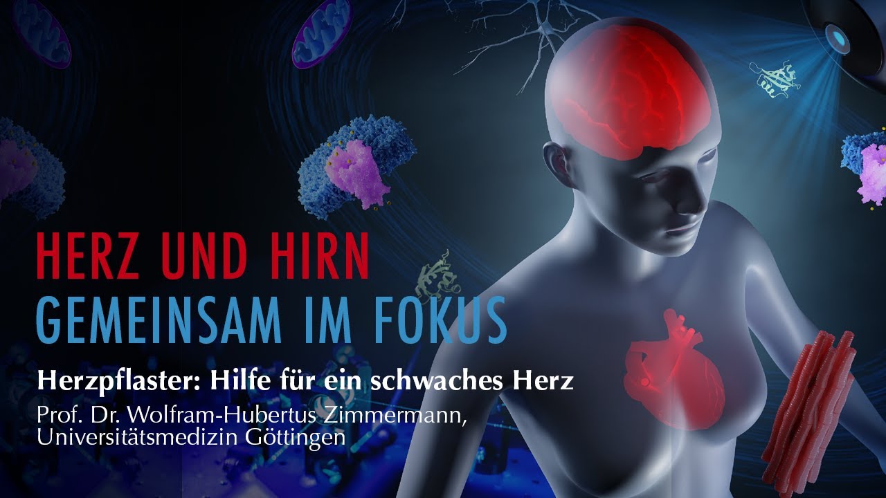 Herzpflaster: Hilfe für ein schwaches Herz | Prof. Dr. Wolfram-Hubertus Zimmermann