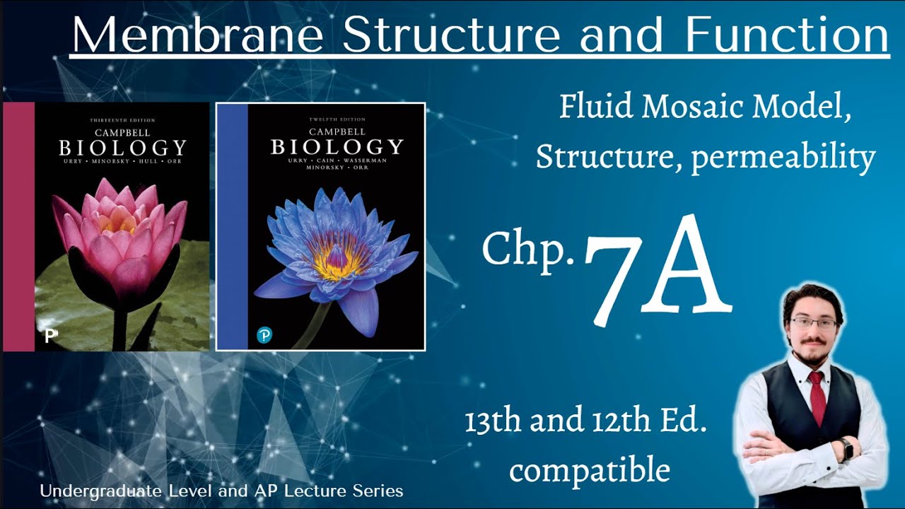 Campbell Biology Chapter 7 Cell Membrane Structure and Function Part A. 13 and 12ed compatible.