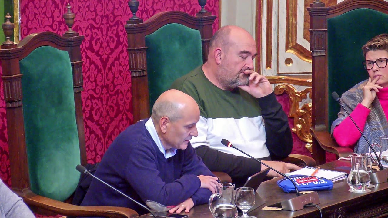 Ple Ordinari 30/01/2025