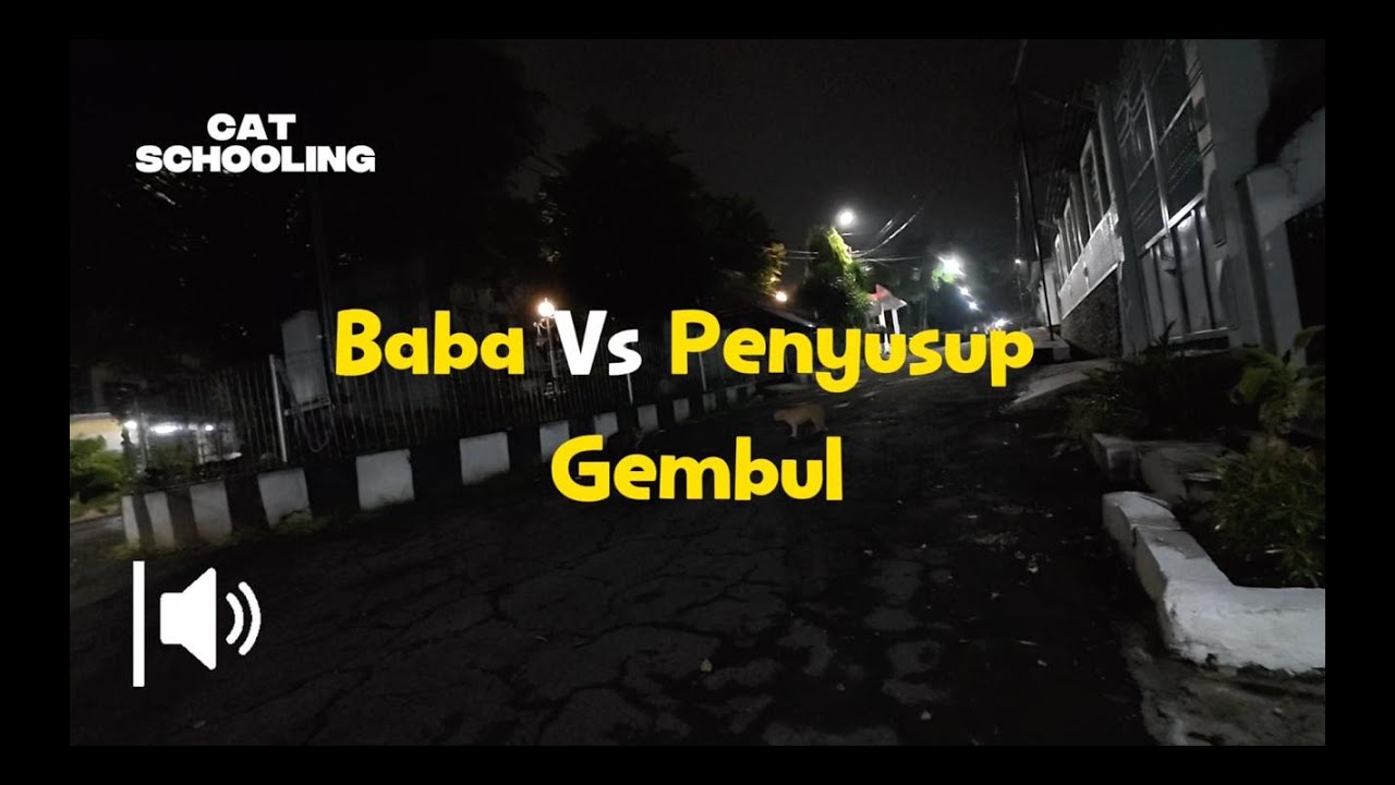 Baba vs PENYUSUP GEMBUL di kawasan Cat Schooling!