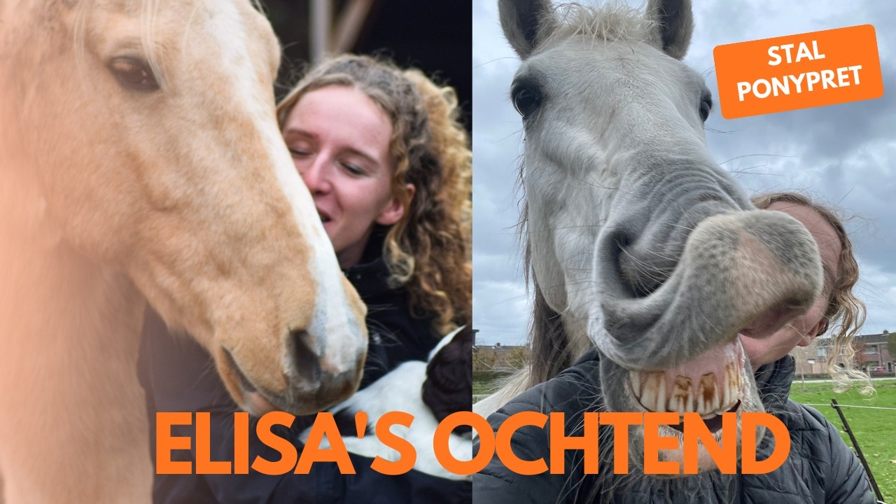 Mijn Ochtend Routine Met 6 Paarden 🐴🥰