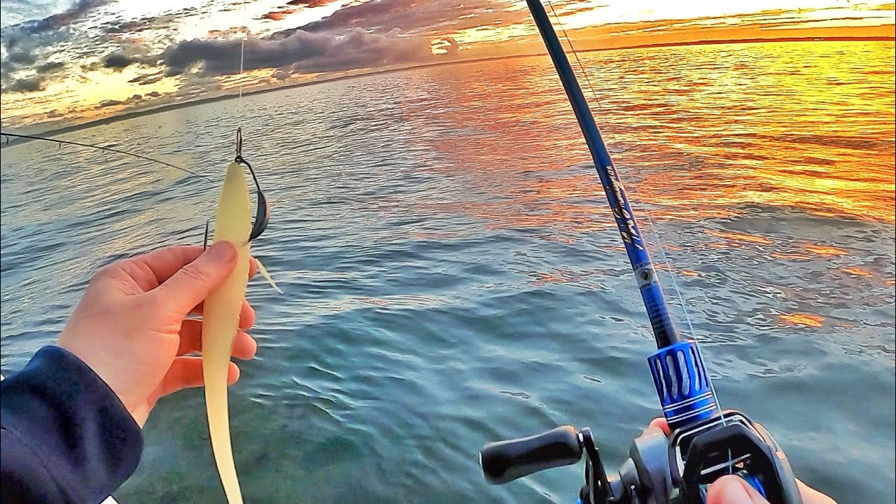 Striper Fishing Bait You MUST HAVE Tied On! Striped Bass Bait I Rig Up FIRST!