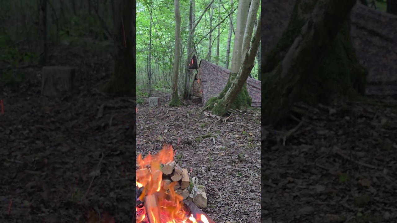 Holden TARP Shelter WILD Camping UK | Woodland Camp Tarp SETUP