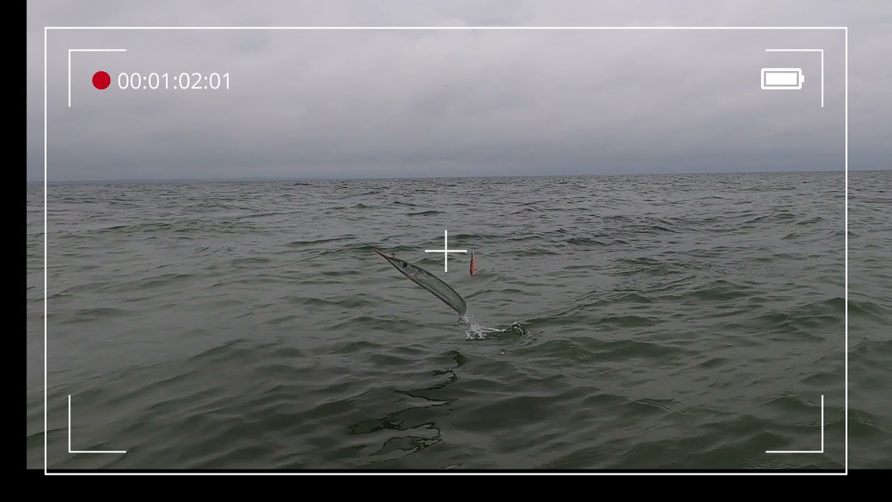 Meerforelle trotz Hornhechten?! | Brodtener Ufer | Lübecker Bucht | Ostsee