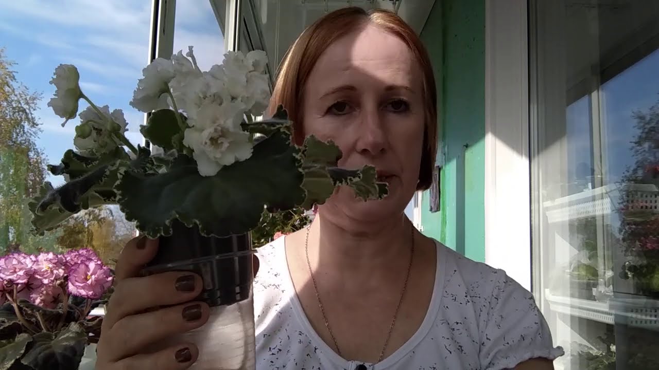 Важные рекомендации. Фитильный полив и мои неудачи