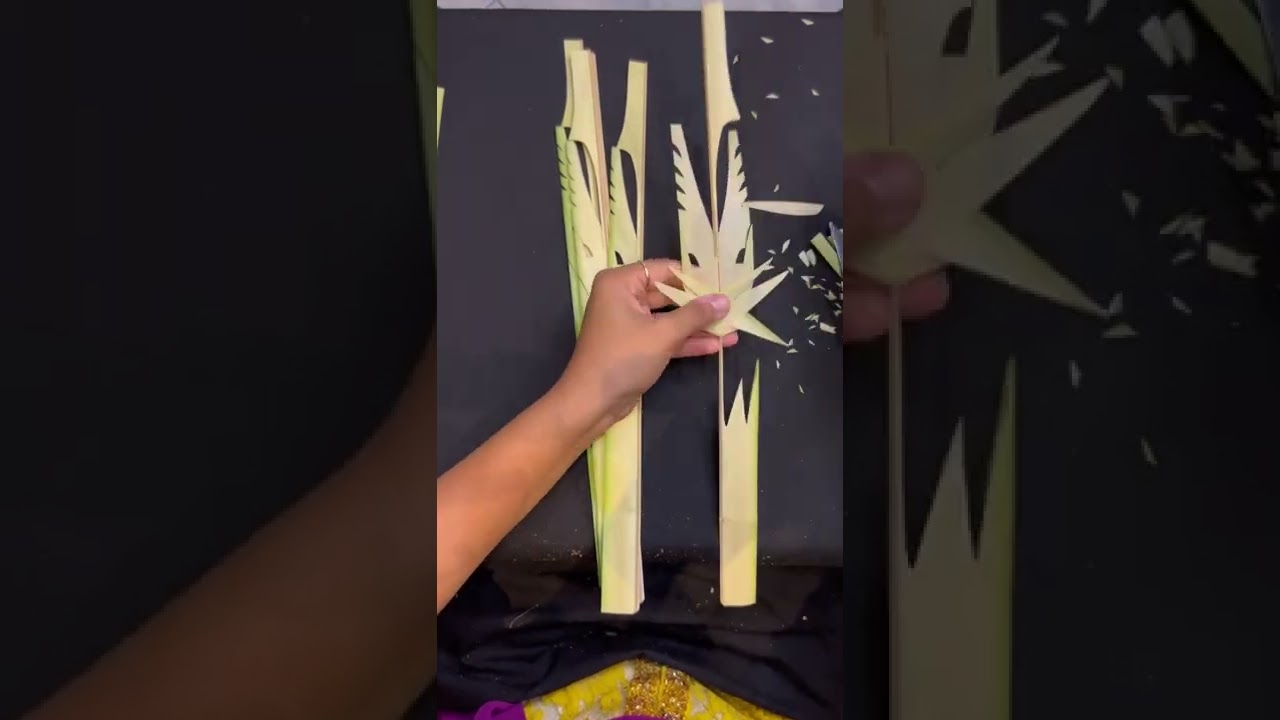 Kreasi dari daun kelapa muda