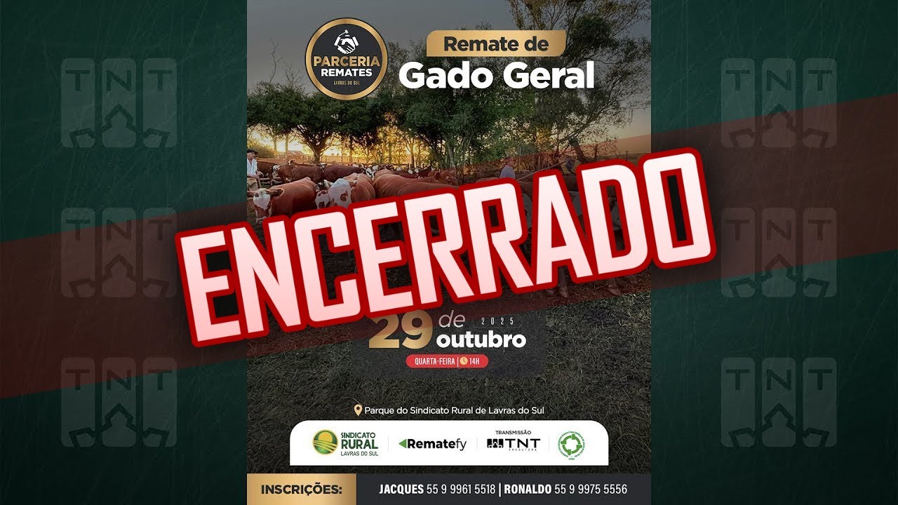 29/10 - Gado Geral Parceria Remates | 14h