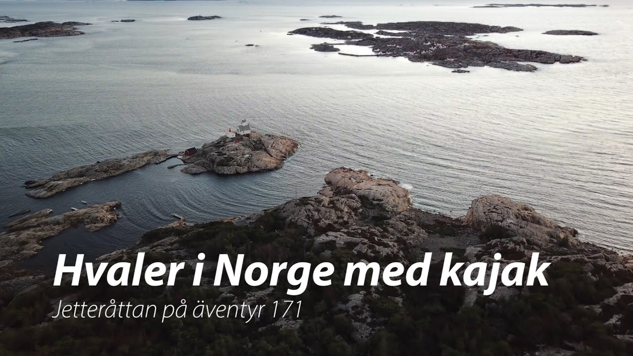 Hvaler med kajak - Jetteråttan på äventyr 171