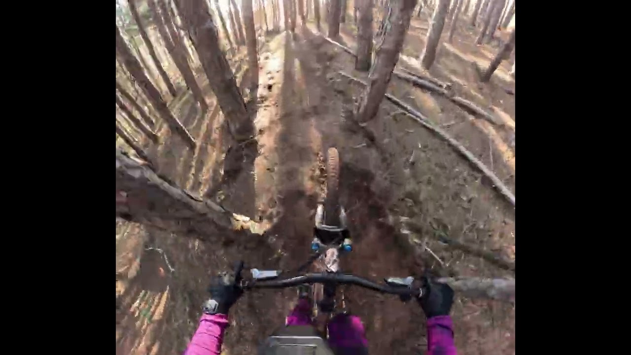 Podgumer trails 30/12/2025