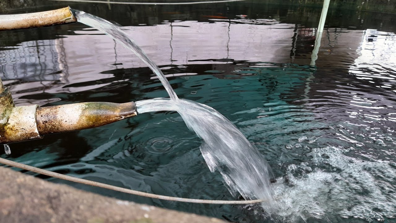 Como hacer un filtro para estanque de tilapias o Koi