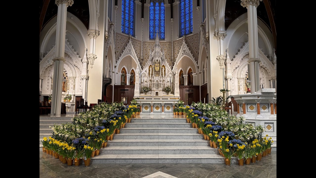 February 8, 2026: Fifth Sunday in Ordinary Time