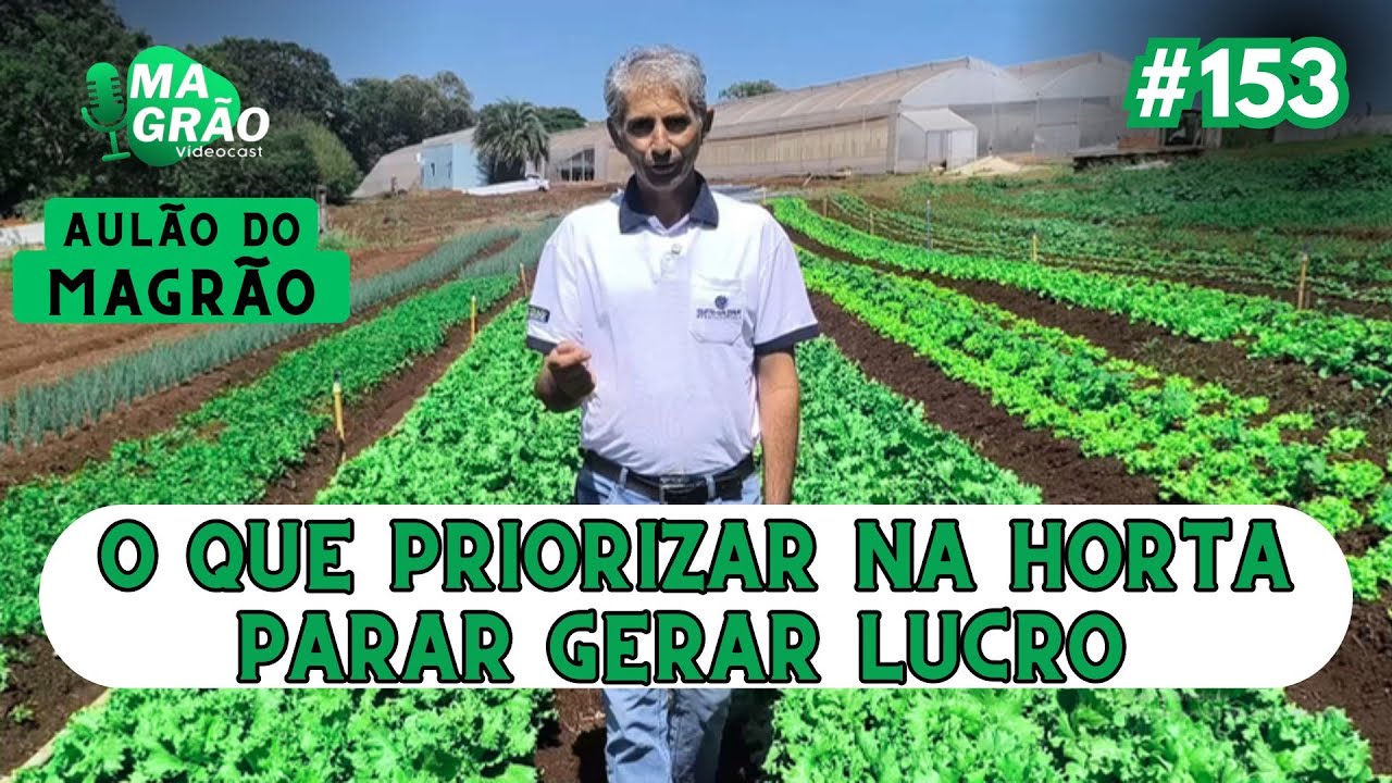 O QUE PRIORIZAR NA HORTA PARA TER LUCRO - AULÃO DO MAGRÃO - MAGRÃO VIDEOCAST #153