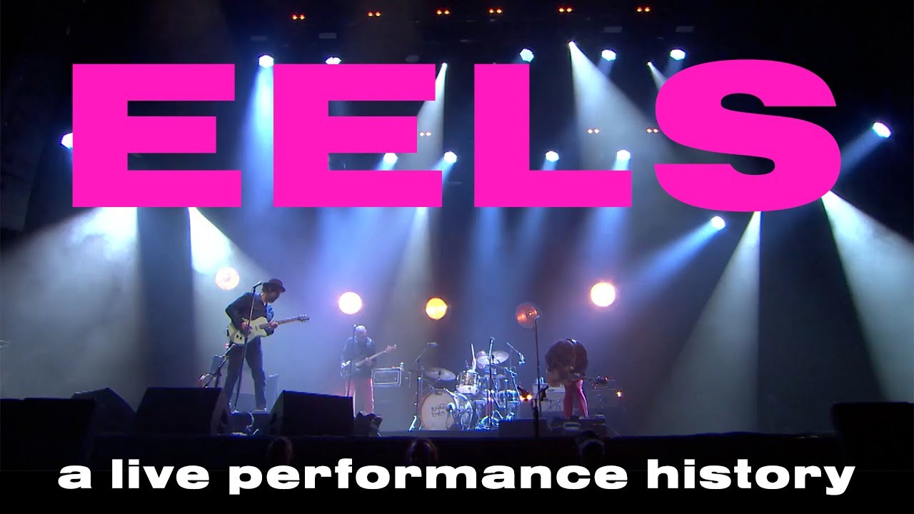 25 YEARS OF EELS LIVE IN 8 MINUTES