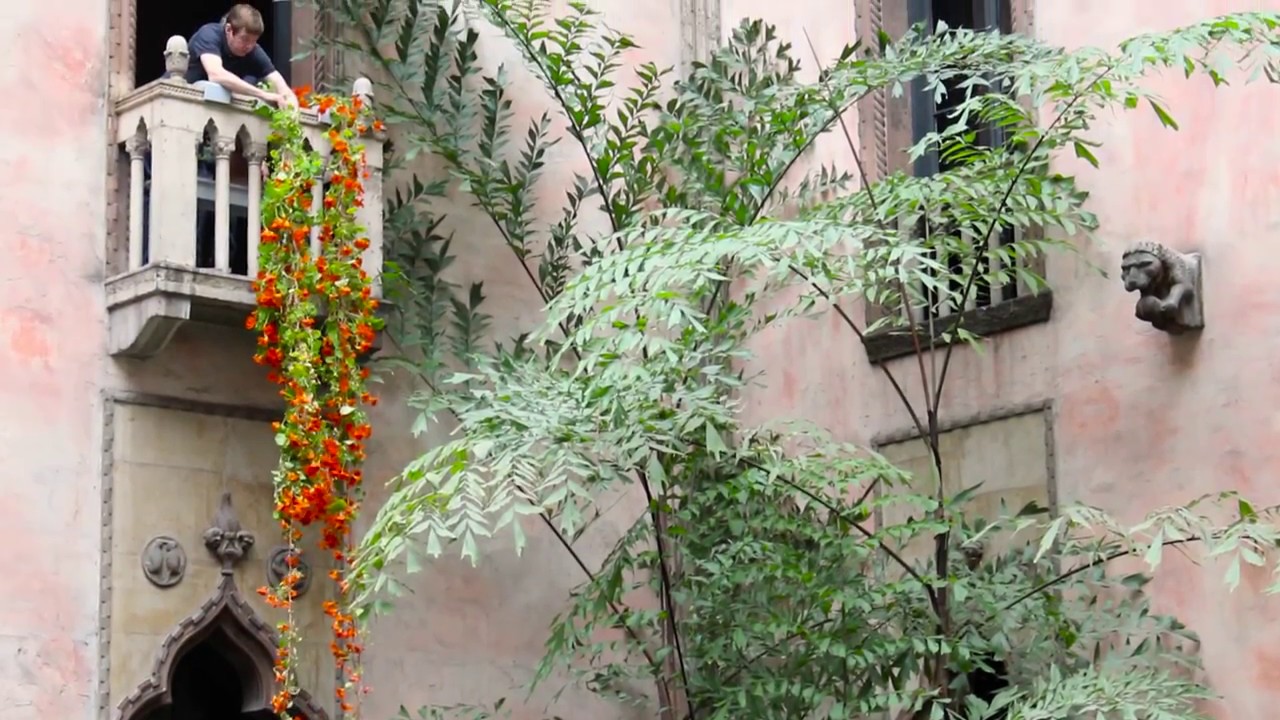 Installing the Nasturtiums