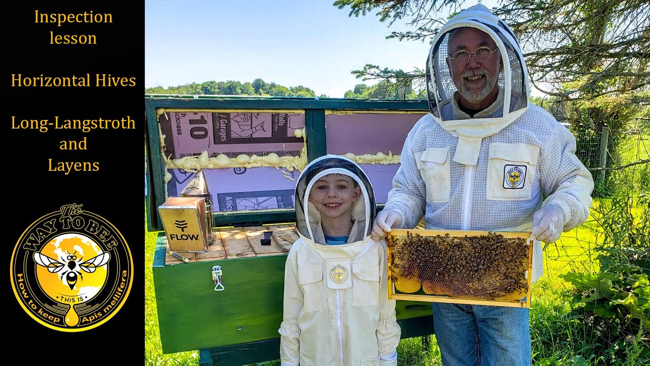 Layens and Long Langstroth Hives, Teaching My Grandson how to inspect a bee hive. Tutorial