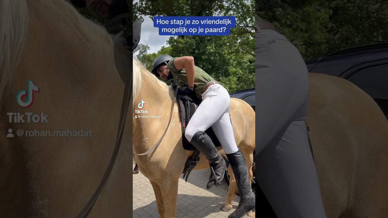 Hoe stap je zo vriendelijk mogelijk op je paard? #paard #paardrijden #opstappen #manege