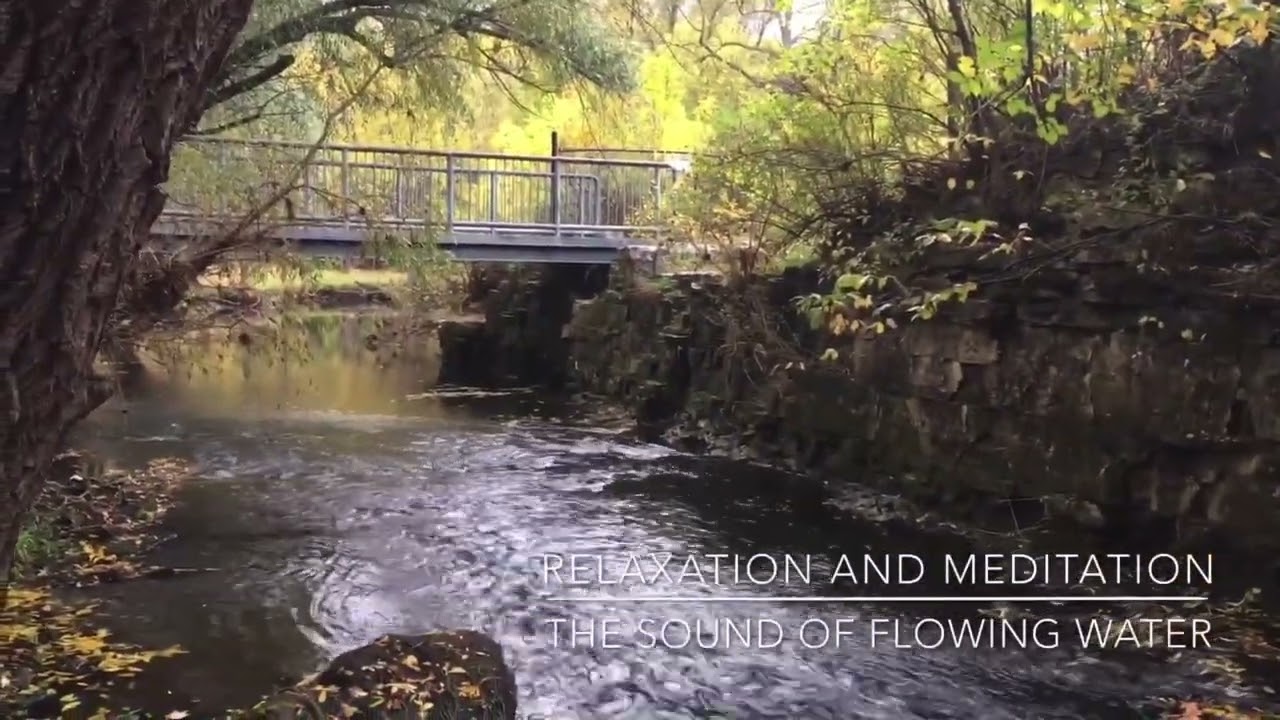 Simply Going Places l Hamilton,Ontario Canada #relaxation #meditation #soundofnature #viral #trend🧿